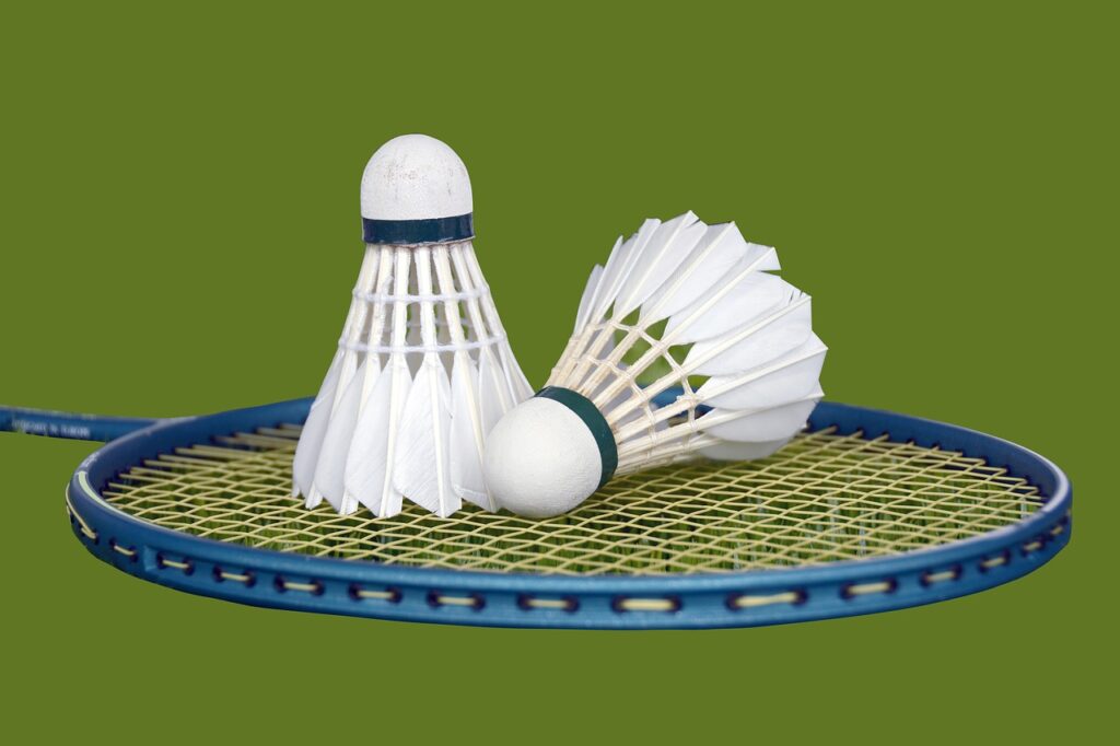 shuttlecock, racket, badminton-2379720.jpg